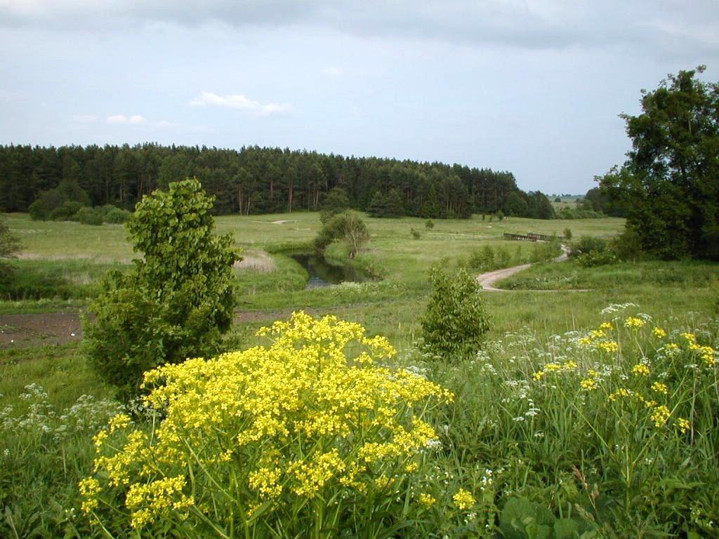 Palac Wojciechy المظهر الخارجي الصورة